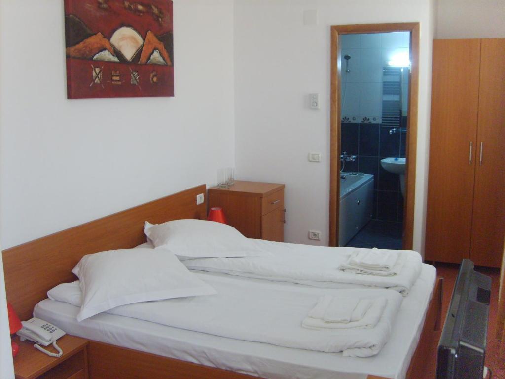 Hotel Flormang クラヨーヴァ 部屋 写真