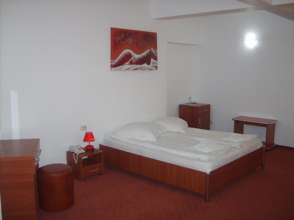Hotel Flormang クラヨーヴァ 部屋 写真